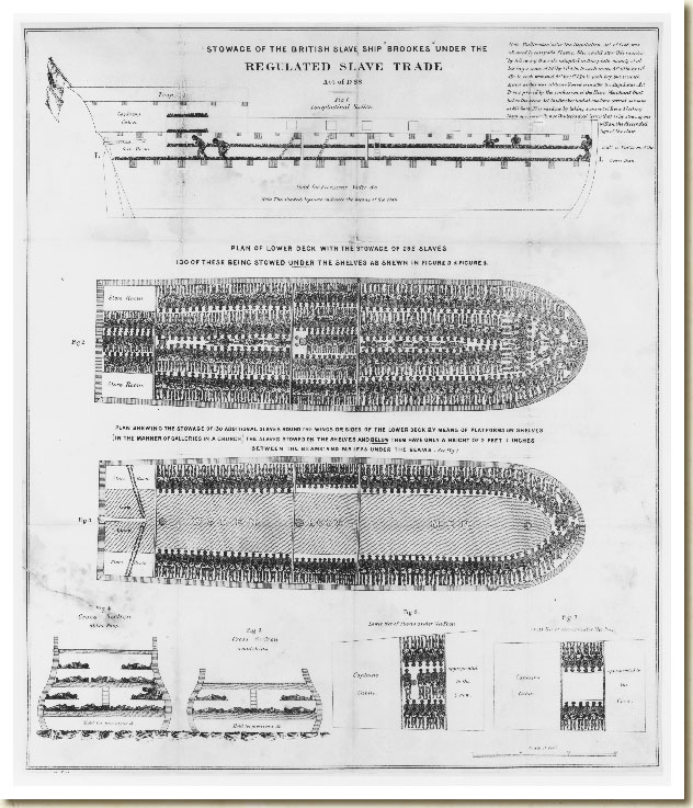 Stowage of the British Slave Ship Brookes, 1790