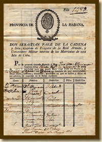 Travel Document for the Schooner Syrena, 1817