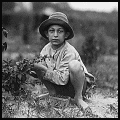 Boy Picking Berries, Near Baltimore, MD