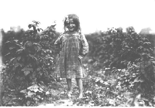 Lewis W. Hine photograph of Laura Petty