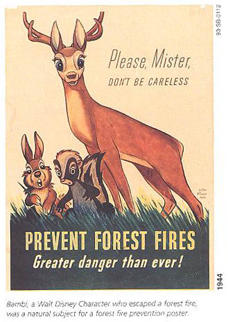 Forest Fire Prevention