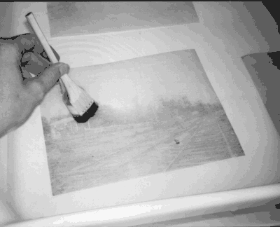 Conservator de-ionizing a civil war 

photograph
