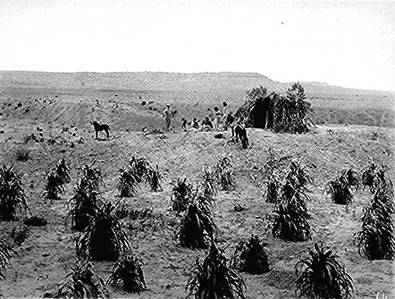 Photo of Native Americans