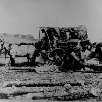 12. A black family entering Union lines with a loaded cart.