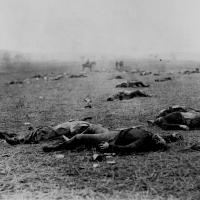 99. Union and Confederate dead, Gettysburg Battlefield, Pa., July 1863.