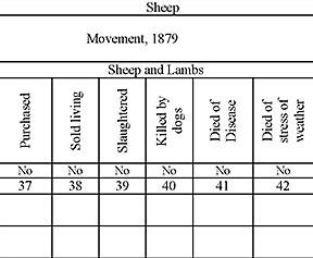 Charts And Forms